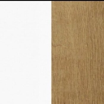 Sekcija CORO (K) 4 Sekcija CORO (K) 4