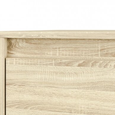 Darbo stalas AVO 10 16