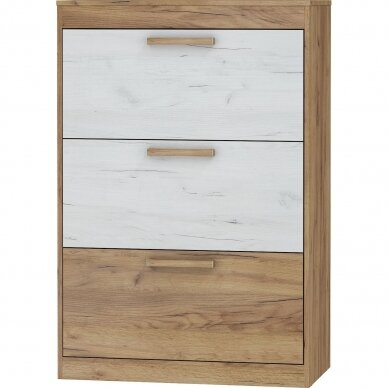 Batų dėžė Maximus MXS-39 3