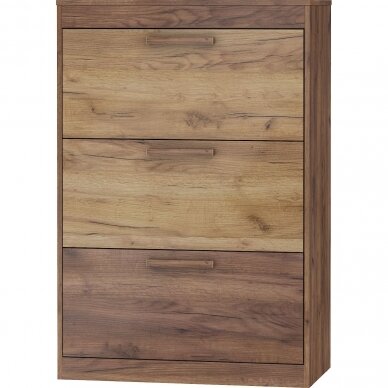 Batų dėžė Maximus MXS-39 4