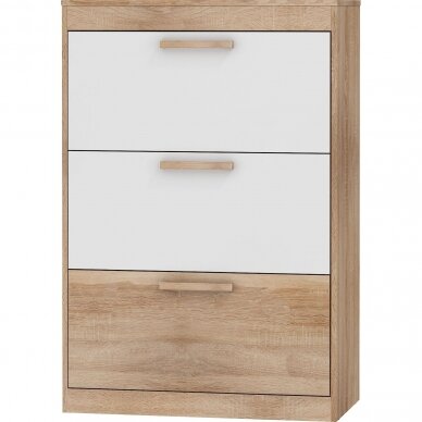 Batų dėžė Maximus MXS-39 5 Batų dėžė Maximus MXS-39 5