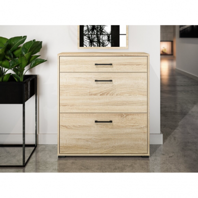 Batų dėžė CARO 10 2 Batų dėžė CARO 10 2