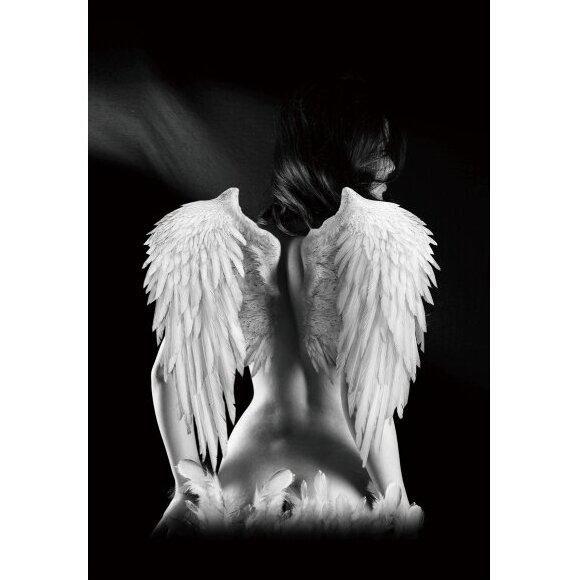 Foto paveikslas Angelas Foto paveikslas Angelas