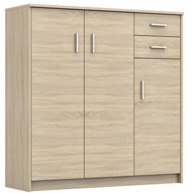 Batų dėžė 10 Batų dėžė 10