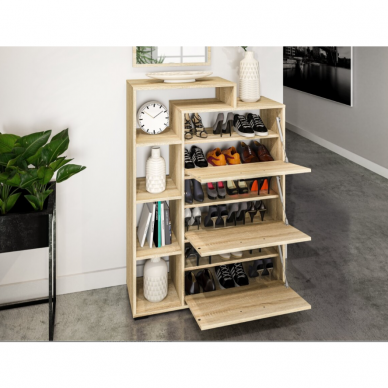 Batų dėžė CARO 13 3 Batų dėžė CARO 13 3