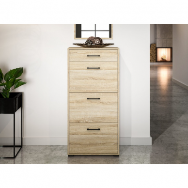 Batų dėžė CARO 14 2 Batų dėžė CARO 14 2