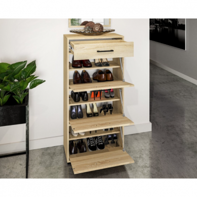 Batų dėžė CARO 14 3 Batų dėžė CARO 14 3