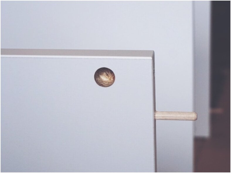 Kaip apsaugoti baldus nuo apvirtimo