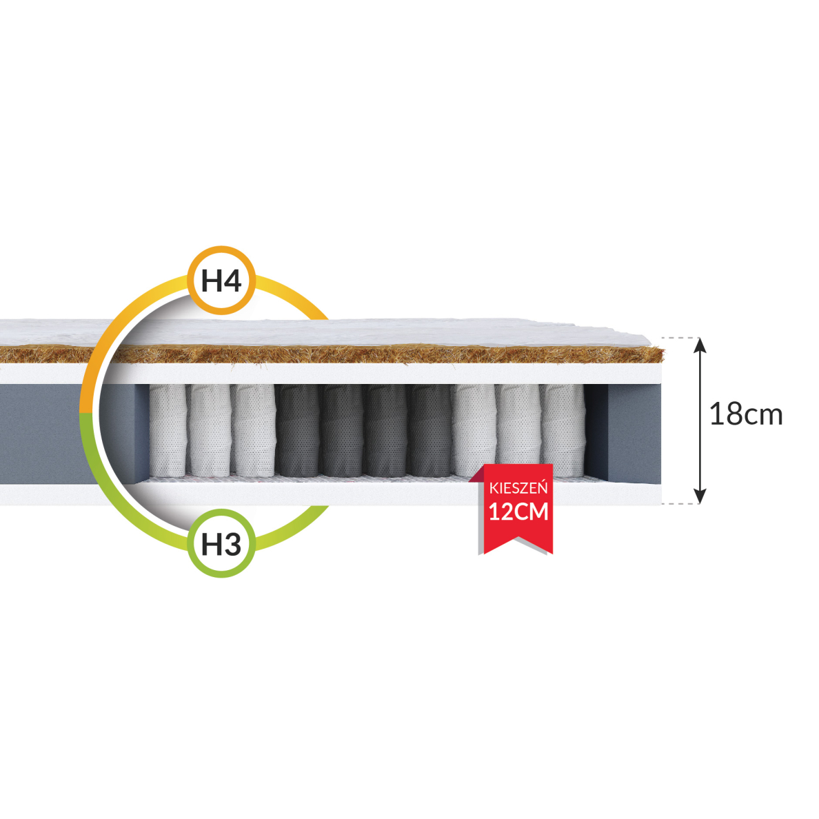 Čiužinys Family 18 cm 1