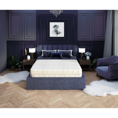 Čiužinys Ergo 22 cm 1