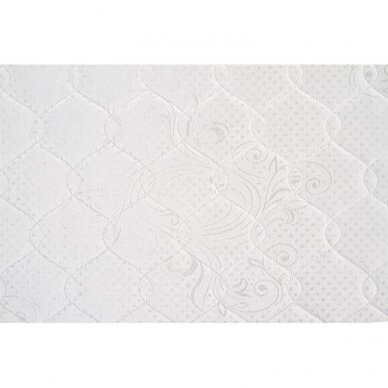 Čiužinys PL 1 Čiužinys PL 1