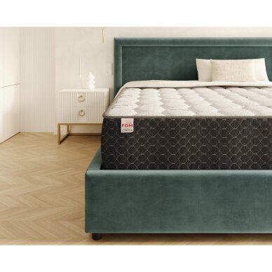 Čiužinys Tasso 24cm 5