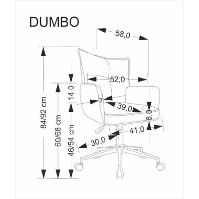 Darbo kėdė Dumbo 3