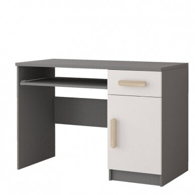 Darbo stalas 08 SM II 5 Darbo stalas 08 SM II 5