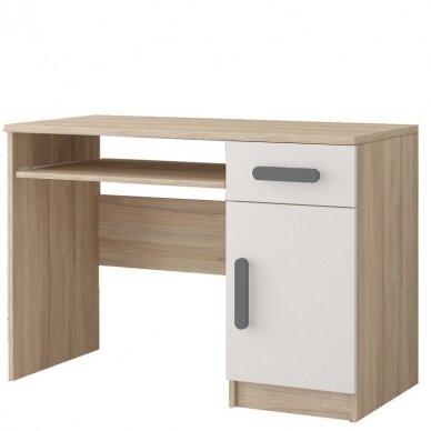 Darbo stalas 08 SM III 6