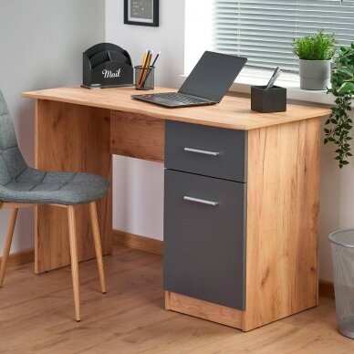 Darbo stalas ELMO Darbo stalas ELMO