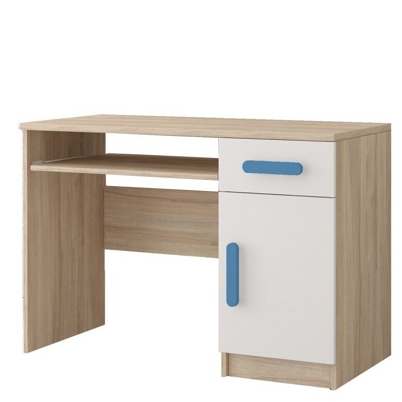 Darbo stalas 08 SM III 1