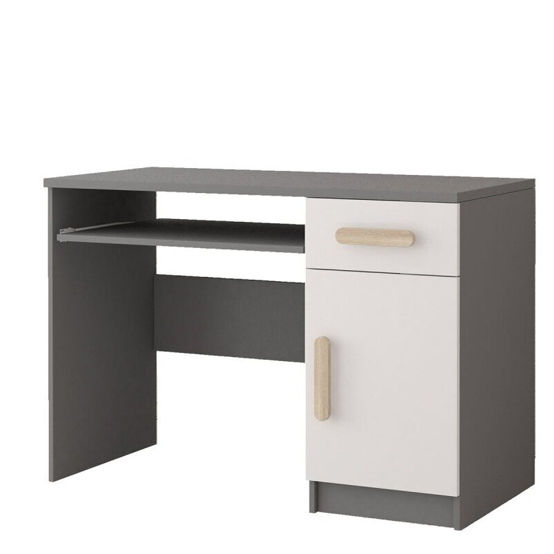 Darbo stalas 08 SM II 5 Darbo stalas 08 SM II 5