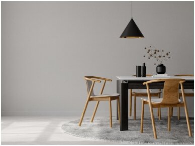 Formos ir funkcijos paprastumas minimalistiniame baldų dizaine