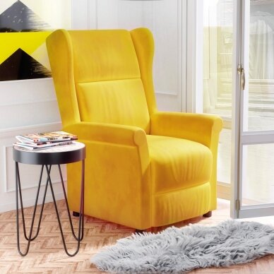 Fotelis AGUSTIN 2 18