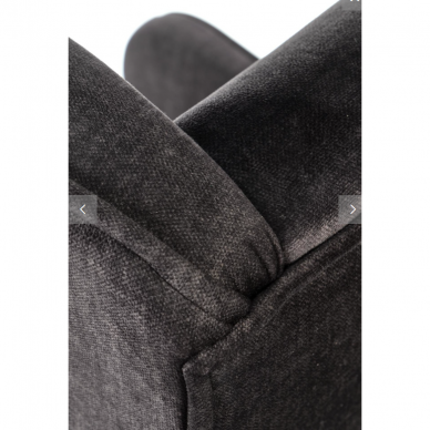 Fotelis CHESTER 2 19 Fotelis CHESTER 2 19