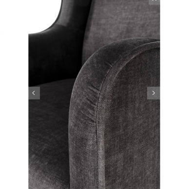 Fotelis CHESTER 2 20