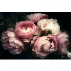Foto paveikslas Gėlės I