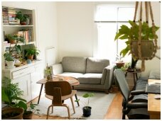 Gyvenimas studijos tipo bute - kaip įrengti, projektuoti ir mėgautis savo erdve