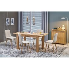 Išskleidžiamas stalas Gizmo