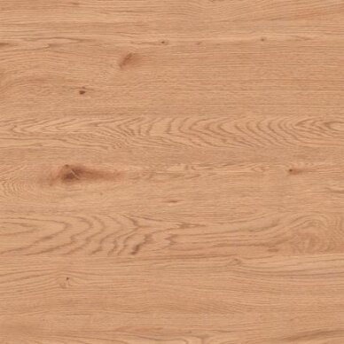 Išskleidžiamas stalas Concord 10