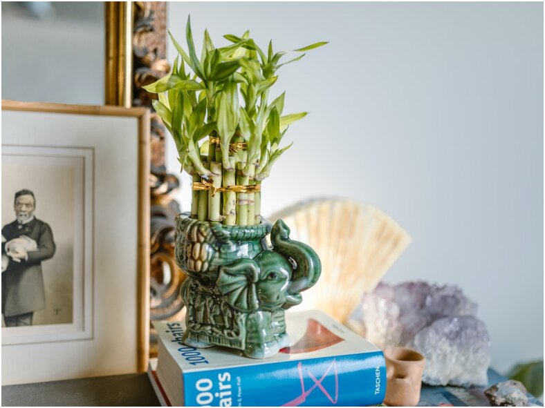 Kaip sukurti subalansuotą svetainės erdvę pagal Feng Shui?