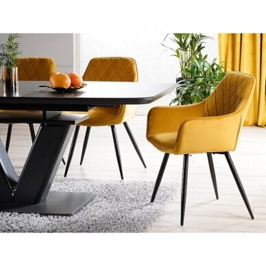 Kėdė ALINA 12 Kėdė ALINA 12