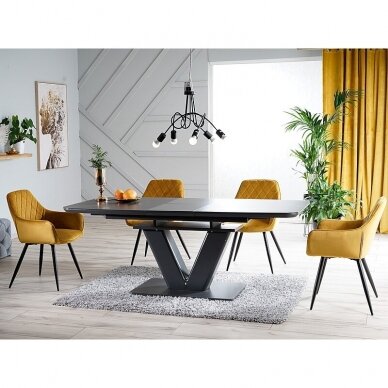 Kėdė ALINA 6 Kėdė ALINA 6