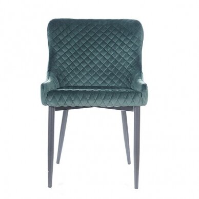 Kėdė Cali Velvet 5 Kėdė Cali Velvet 5