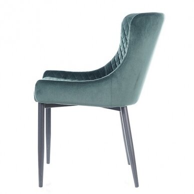 Kėdė Cali Velvet 6