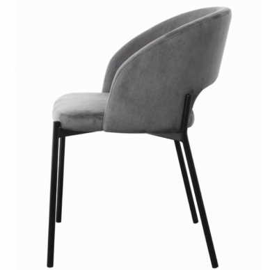 Kėdė K455 2 Kėdė K455 2