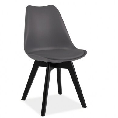 Kėdė SKR II 1 Kėdė SKR II 1