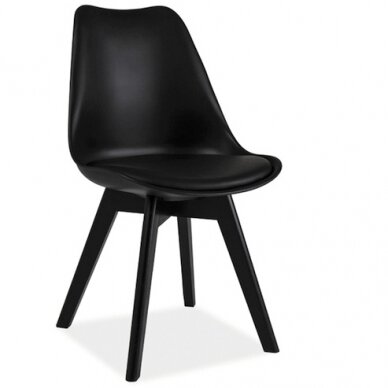 Kėdė SKR II Kėdė SKR II