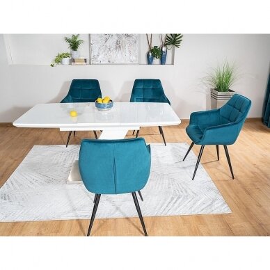 Kėdė LILI 1 Kėdė LILI 1