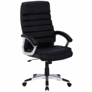 Kėdė SQ-087 1 Kėdė SQ-087 1