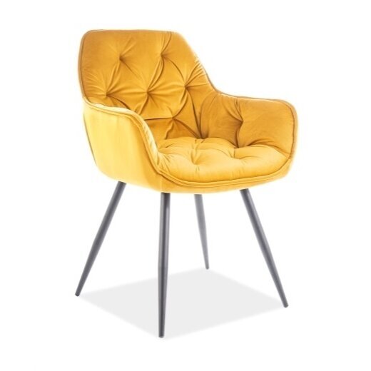 Kėdė VYŠNIA VELVET Kėdė VYŠNIA VELVET
