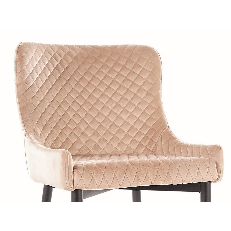 Kėdė Cali Velvet 3 Kėdė Cali Velvet 3