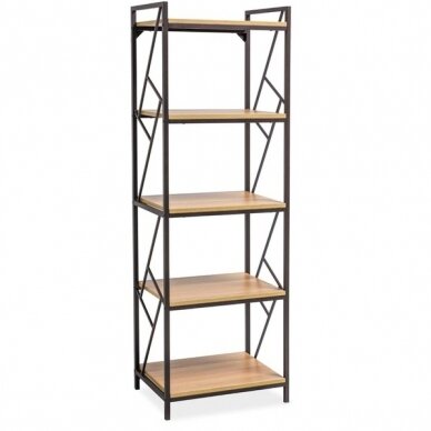 Lentyna STA R5 Lentyna STA R5