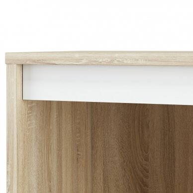 Lentyna AVO 06 1 Lentyna AVO 06 1