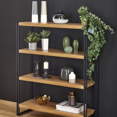 Lentyna BOLIVAR REG-1 Lentyna BOLIVAR REG-1