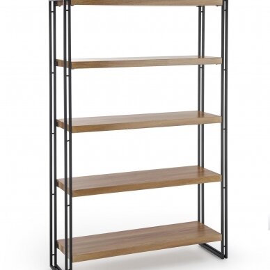 Lentyna BOLIVAR REG-2 3