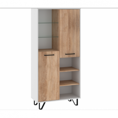 Lentyna BOSS-09 Lentyna BOSS-09