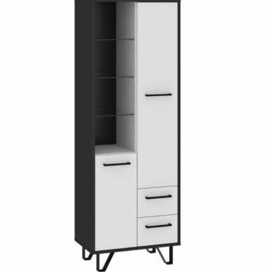 Lentyna BOSS-10 4 Lentyna BOSS-10 4