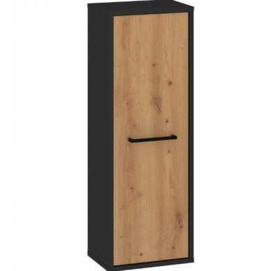 Lentyna BOSS-17 5 Lentyna BOSS-17 5