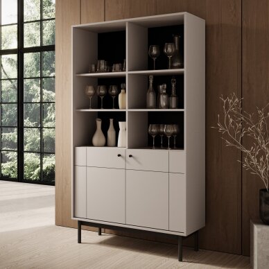 Lentyna Dipan C Lentyna Dipan C